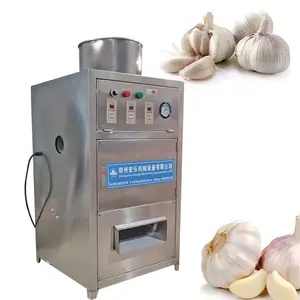 Commercial Stainless steel garlic skinning peeling machine factory use dry garlic peeler equipment