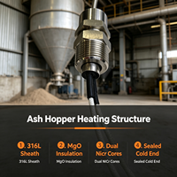 Ash Hopper MI Heizkabel, Mineralisch Isoliert, 220V/380V, 20-269W/m, Anpassbare Länge 3-120m, IP67, für Kraftwerks-Staubabscheider