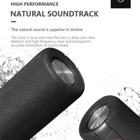 Peakers 2 In 1 Bluetooth Speaker For home
