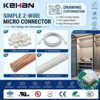 Harnais de câblage personnalisé simple à 2 fils avec micro-connecteur pour bande LED et éclairage décoratif