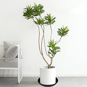 Platillo de plantas negro, maceta grande pesada, bandejas de plantas de plástico más gruesas duraderas para interiores y exteriores, bandejas de goteo para platillos de plantas - Product Image 4