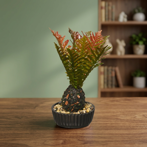 ต้นเฟิร์นประดิษฐ์สำหรับตกแต่งในร่มในกระถาง - Product Image 3