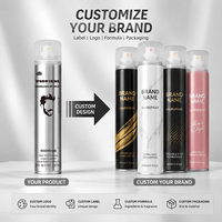 OEM ODM 420ml Laque pour cheveux en aérosol, tenue forte, protection thermique, texturisante pour cheveux bouclés et secs, étiquette privée, logo personnalisé