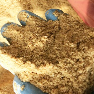<span class=keywords><strong>Prix</strong></span> aux États-Unis pour l'aliment <span class=keywords><strong>à</strong></span> base de gluten de <span class=keywords><strong>maïs</strong></span>, type <span class=keywords><strong>grain</strong></span>, pour chevaux, porcs, poissons, par <span class=keywords><strong>tonne</strong></span> - Product Image 1