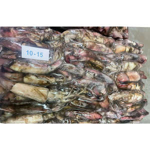 Carne <span class=keywords><strong>de</strong></span> Calamar Pura Congelada, Calamar, Oferta al por Mayor Económica - Product Image 2