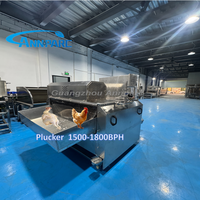 Plumeuse à poulet industrielle automatique 1000BPH, robuste, en acier inoxydable SUS 304, équipement d'épluchage de volailles pour abattoir commercial