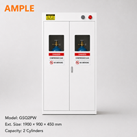Armoire pour bouteilles de gaz, 2 cylindres, blanche, ventilée, en acier, stockage personnalisé OEM ODM pour laboratoire, école, usine, entrepôt, B2B