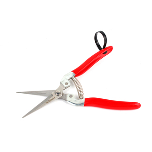 กรรไกรตัดกิ่งแบบบายพาส ขนาด 8 นิ้ว รุ่น (DZ)HB264004 - Product Image 2