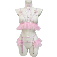 Set Lingerie Erotis Wanita dengan Bra Halter, Tali Garter, dan Renda Bunga Berpayet Pink Custom Grosir, OEM ODM Diterima