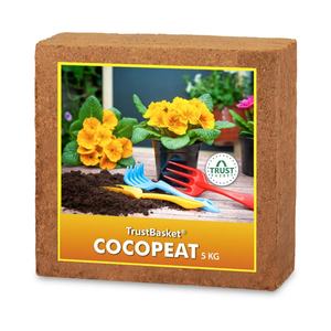 Coco Coir para Cultivo, Lavado, Bajo EC, 650g 5KG, Venta al por Mayor en EE. UU. y Canadá - Product Image 4