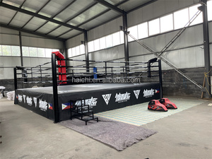 Ring de <span class=keywords><strong>Lucha</strong></span> <span class=keywords><strong>Libre</strong></span> Multifuncional <span class=keywords><strong>WWE</strong></span> con Logotipo OEM, Tamaño 6mx6m, para Niños - Product Image 3