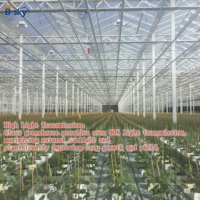 Invernadero de Vidrio Resistente para Proyectos de Cultivo Comercial de Vegetales a Gran Escala