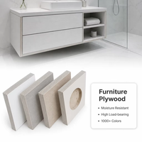 Contreplaqué mélaminé 18 mm 4x8 à âme en eucalyptus, colle phénolique WBP, certifié FSC CARB P2 ENF, coupe nette, pour présentoirs commerciaux
