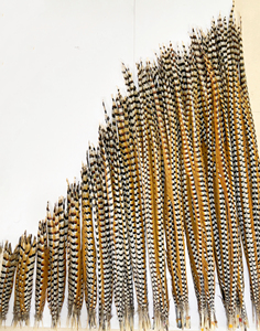 Plumes et queues de faisan Reeves brutes de 28-30 pouces (70-80 cm) pour décoration de carnaval, fêtes de Noël, festivals et mariages - Product Image 1
