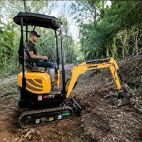 Mini-excavatrice compacte à forte capacité de charge pour l'excavation de fosses et les projets agricoles