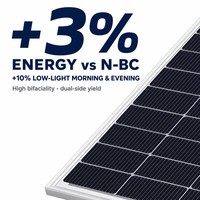 Panneau solaire bifacial TOPCon de type N 650W, cellules 182R, montage au sol pour l'agriculture, projet d'énergie agrivoltaïque