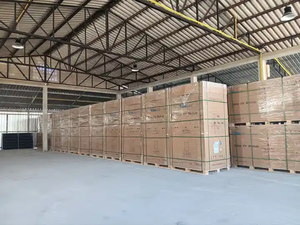 แผงเซลล์แสงอาทิตย์แบบสองด้านชนิด N-Type 550W 600 watt 605W 665W 670W 580W N Type panneau Solaire Trina - Product Image 5