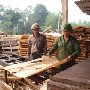 ไม้อัดแกนไม้อัดไม้อัดไม้อัดไม้อัดป้องกันน้ำ E0ลดฟอร์มาลดีไฮด์ดีไซน์ทันสมัยราคาโรงงานเวียดนาม - Product Image 3