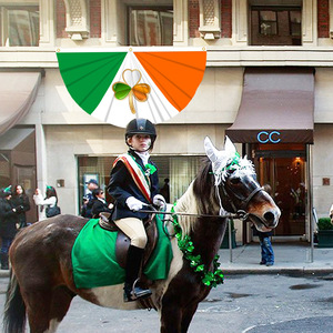 Drapeau <span class=keywords><strong>irlandais</strong></span> demi-fan Festival de la Saint-Patrick Personnalité nationale personnalisée Bunting Fanion Bannière Polyester Anti-rides - Product Image 6