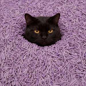 Litière pour chat DongnaiPETS écologique et durable, parfumée à la lavande, charbon actif, bois, amidon de maïs, bloc de toilette jetable - Product Image 1