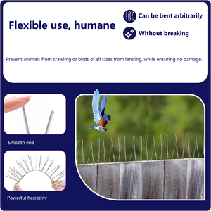 Pointes réutilisables de dissuasion d'oiseaux en plastique PP solide <span class=keywords><strong>Anti</strong></span>-oiseau Pigeons Pest Scorpions Pointes Efficaces contre les serpents chauves-souris pour les toits - Product Image 4