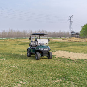 Supply Battery Driven <b>2</b>-seat Golf Buggy <b>2</b> <b>Passenger</b> Car for Resort & Residential Villa - Product Image 6