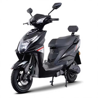 Moto électrique longue portée 1000W Vente directe d'usine
