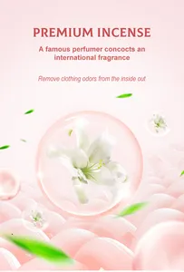 Preiswerter Waschbekleidungs-Flüssigkeits-Umweltfreundlicher natürlicher flüssiger Farbschutz Waschmittel-Reinigungsmittel-Support Eigenmarke