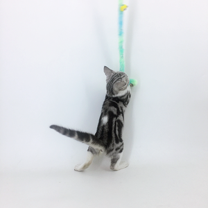 Büyük gözler ile yeni interaktif peluş kedi oyuncak tırtıl PVC ve Metal Anti-scratch ve Bite dayanıklı Teaser kedi - Product Image 6