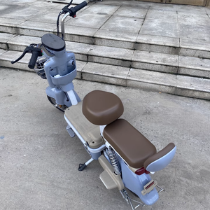 EU kho 350W 500W 48V 20Ah 24ah thành phố đi lại Xe đạp điện 2 chỗ ngồi xe đạp điện dành cho người lớn Xe đạp điện - Product Image 6