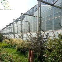 Serre agricole/commerciale multi-voûtes de 10 000 m² avec film PE/verre, grande serre agricole en plastique, grand miroir pour ferme, 275 g