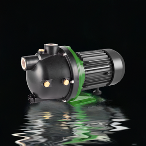 Power Cheap Sale Electric High Pressure Circulation Custom Hot Mini <strong>Jet</strong> <strong>Pumps</strong> Cast Iron 1inch <strong>Jet</strong>-p 0.5hp 0.75hp 1hp Water <strong>Pump</strong> - Product Image 6