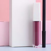 Ensemble de brillant à lèvres rouge mat liquide longue durée bricolage 24 heures, ensemble de rouge à lèvres liquide de maquillage de marque privée mat