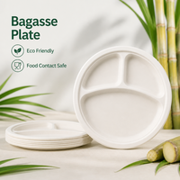 Assiette en bagasse écologique de 10 pouces à 3 compartiments pour la restauration