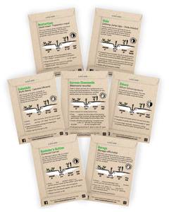 Venta caliente SPROUT SOSTENIBLE Flor comestible para plantar - Product Image 2