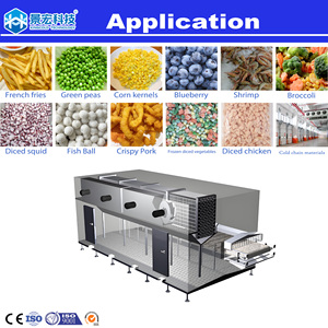 Congelador Espiral Industrial de Lecho Fluidizado IQF 100-5000kg/h con Certificación CE para Dados de <span class=keywords><strong>Zanahoria</strong></span> Sin Adhesión y Funcionamiento Estable - Product Image 2