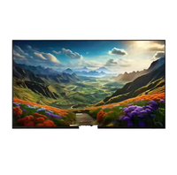 55 Zoll Ultra Slim 4K LED Smart TV mit Individuellem Boot-Logo & Markenaufkleber OEM-Service