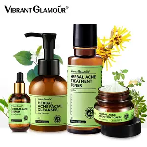 Oem Salycilic Acid Oil Kräutertee Baum Pickel Entfernung Serum Gesichts creme Tiefen reparatur Beruhigende Akne-Behandlung Hautpflege-Set