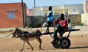 Phi Lừa Giỏ Trailer Nước Trâu Giỏ Hàng - Product Image 3