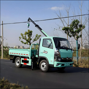Fabricante Chino de Grúas Hidráulicas Móviles Eléctricas de 2 Toneladas para Camionetas - Product Image 5