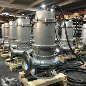 Pompe submersible pour eaux usées certifiée par le fournisseur, à économie d'énergie, anti-colmatage, en acier inoxydable SS316L - Product Image 2