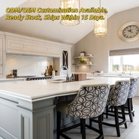 Meubles de cuisine à affichage plat en gros OEM ODM pour villas de luxe, échantillon certifié CE E0, service de livraison rapide, emballage inclus