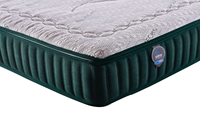 Matelas à ressorts ensachés de luxe haut de gamme, personnalisable avec logo, compressé et roulé, pour les partenaires de marques de meubles