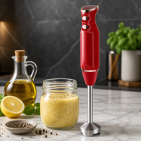 Homedaily Mixeur Plongeant 2-en-1 en Acier Inoxydable, Robot Culinaire Portable pour Smoothies et Sauces
