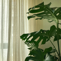 Rideaux en tulle texturés en lin de style moderne personnalisables pour fenêtre bonne texture avec usage domestique