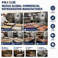 Réfrigérateur commercial MUXUE en acier inoxydable à 10 plateaux et 1 porte -40°C ℃   Congélateur rapide pour viande et pain