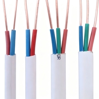 Abriebfestes PVC-ummanteltes BVVB 2*0,75/1,0/1,5 Kupferkern-Parallelkabel für Gebäude- und Gartenbeleuchtungsinstallationen