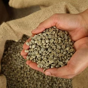 Vietnam Organic Green Robusta Coffee <b>Beans</b> S16 High Quality Natural Flavor Bulk Export Factory Direct Wholesale Supplier - Product Image 1