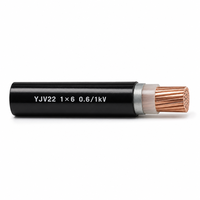 Câble d'alimentation blindé en cuivre YJV22 0,6/1 kV 1*6 1 conducteur, isolé XLPE, blindage en ruban d'acier, gaine en PVC, câble souterrain