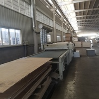 Plaques de contreplaqué en tilleul et noyer de qualité artisanale Sabili, sur mesure, 12 * 12 * 1,16 * 1,8 pouces (3 mm), pour routeur CNC, pour l'intérieur de véhicules et les toits de trains